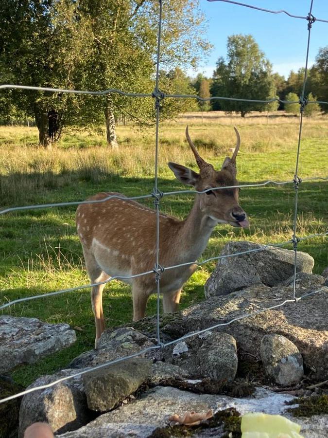 Villa Damwildfarm in Rollerbü Südschweden Tyringe Exterior foto